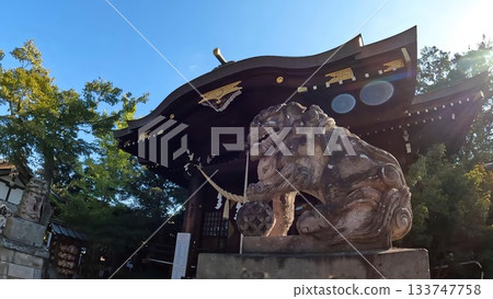 埼玉縣行田市行田八幡神社 埼玉縣行田市行田八幡神社 133747758