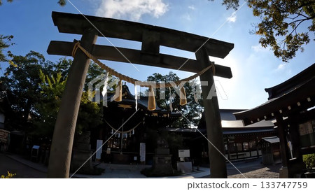 埼玉縣行田市行田八幡神社 埼玉縣行田市行田八幡神社 133747759