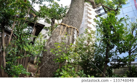 東京都足立區綾瀨4丁目綾瀨稻荷神社 東京都足立區綾瀨4丁目綾瀨稻荷神社 133748049
