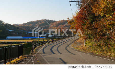 A country road with beautiful autumn leaves A country road with beautiful autumn leaves 133748059