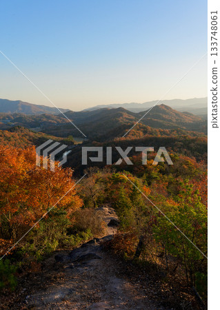 Autumn leaves in the countryside Autumn leaves in the countryside 133748061
