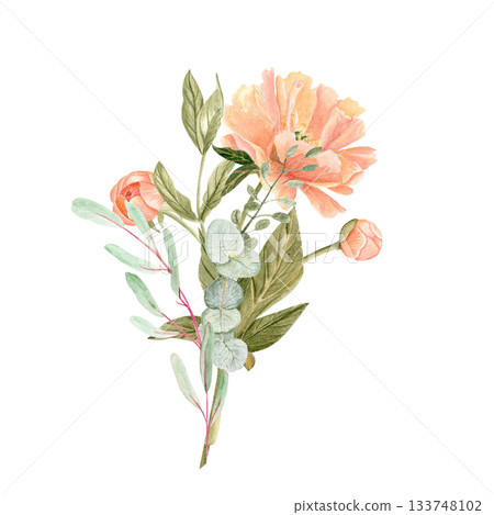 Peony with eucalyptus bouquet in soft peach tones watercolor illustration isolated on white. Hand-painted with high detail, perfect for wedding invitations, branding, packaging, fabric design cards 133748102