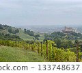 Torrechiara Castle seen from a vineyard, Parma, Italy 133748637