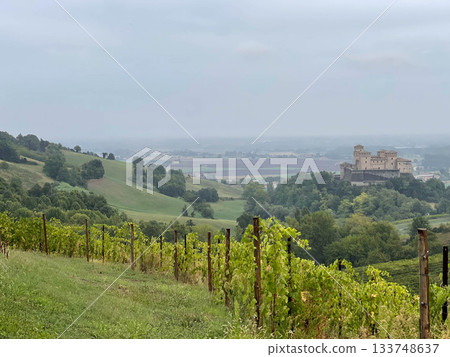 Torrechiara Castle seen from a vineyard, Parma, Italy 133748637