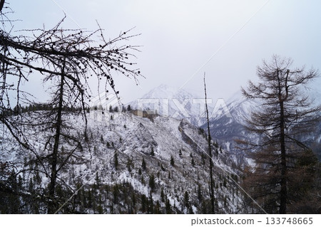 a view of a crevice in a rock high in the mountains 133748665