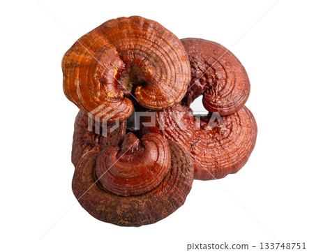Lingzhi or Reishi mushroom with capsules, organic natural healthy food isolated on white with clipping path. Lingzhi or Reishi mushroom with capsules, organic natural healthy food isolated on white with clipping path. 133748751