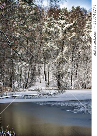 Snowy Forest Scene With Frozen Pond and Snow-Covered Trees Under Clear Winter Sky 133748773