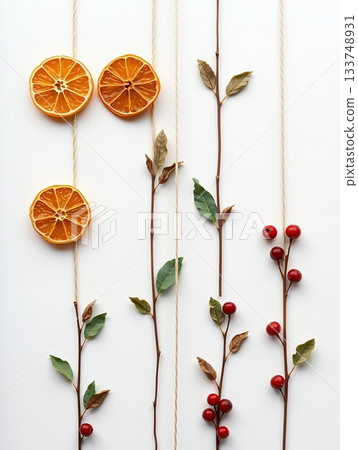 Minimalist Christmas garland of dried oranges and red berries 133748931