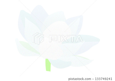 Lotus Water Lily Flower Color Illustration Transparent Full Bloom 133749241