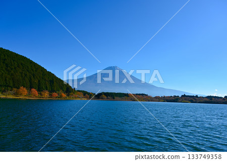 Lake Tanuki, Mount Fuji, Fujinomiya City 133749358