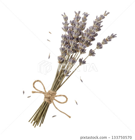 Dried lavender bouquet (transparent background) 133750570