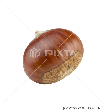 栗子（背景透明） 133750610