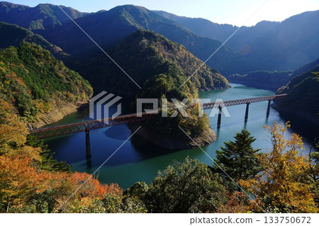 Okuoikojo Station, sandwiched between a railway bridge and autumn leaves. November, Shizuoka. 128 Okuoikojo Station 133750672