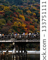 Autumn leaves of Arashiyama 133751111