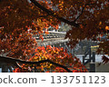 Autumn leaves of Arashiyama 133751123