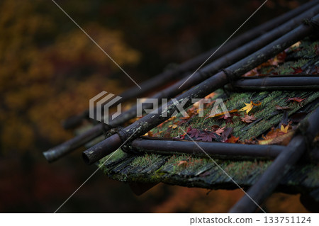 Autumn leaves of Arashiyama 133751124