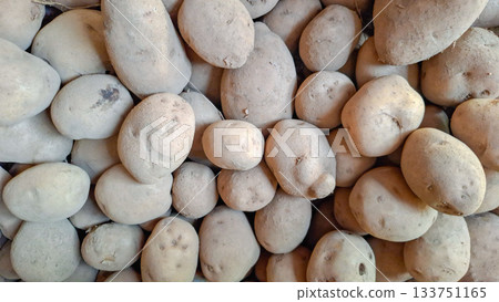 Pile of Unwashed Fresh Potatoes with Dirt from Harvest Pile of Unwashed Fresh Potatoes with Dirt from Harvest 133751165