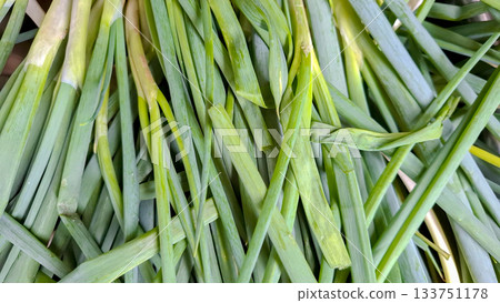 Close-up Texture of Fresh Green Scallions or Chinese Leeks (Daun Bawang) 133751178