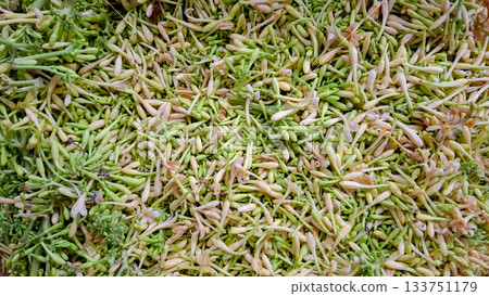 High-Angle View of Raw Papaya Flower Buds (Bunga Pepaya) Abundant Harvest High-Angle View of Raw Papaya Flower Buds (Bunga Pepaya) Abundant Harvest 133751179