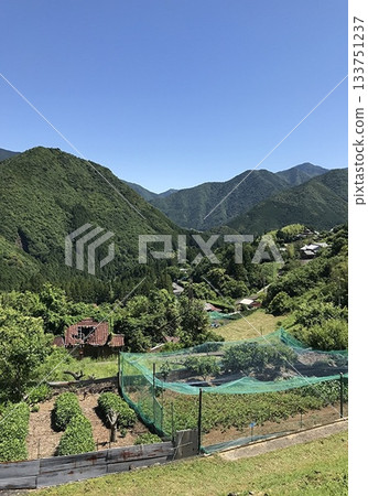 熊野古道，一片綠意盎然的鄉村山景 133751237