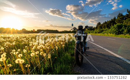A motorcycle parked on the road near a dandelion field 133751282