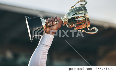 Athlete's hands holding a trophy over their head Athlete's hands holding a trophy over their head 133751580