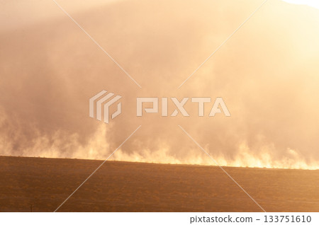 The Flat Sand Dunes 133751610