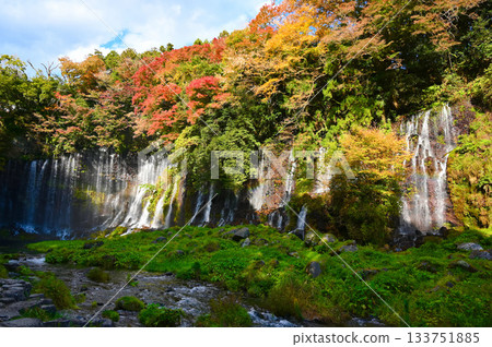 Shiraito Falls, Autumn leaves, Fujinomiya City Shiraito Falls, Autumn leaves, Fujinomiya City 133751885