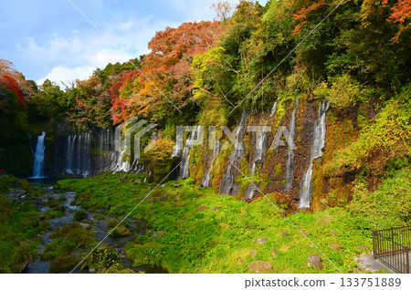 Shiraito Falls, Autumn leaves, Fujinomiya City 133751889