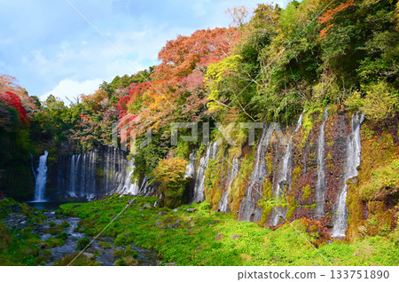 Shiraito Falls, Autumn leaves, Fujinomiya City Shiraito Falls, Autumn leaves, Fujinomiya City 133751890