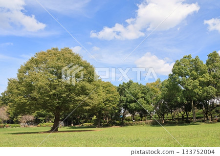 Scenery of Maruyama Park in Ageo City, Saitama Prefecture Scenery of Maruyama Park in Ageo City, Saitama Prefecture 133752004