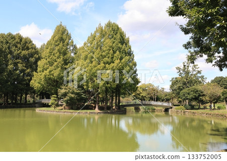 埼玉縣上尾市圓山公園的風景 133752005