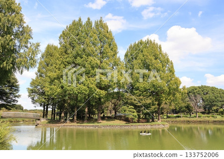 埼玉縣上尾市圓山公園的風景 133752006