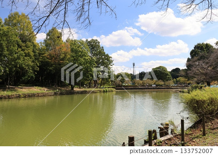 埼玉縣上尾市圓山公園的風景 133752007