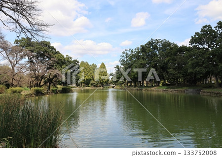 Scenery of Maruyama Park in Ageo City, Saitama Prefecture 133752008
