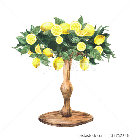 Wooden stand decorated with lemon branches, citrus fruits and leaves. Hand drawn watercolor table for bakery dessert, wedding cake, festive decor, birthday party isolated from background illustration Wooden stand decorated with lemon branches, citrus fruits and leaves. Hand drawn watercolor table for bakery dessert, wedding cake, festive decor, birthday party isolated from background illustration 133752256