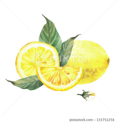 Watercolor lemon Whole and cut slices, lemon wedges with green leaves and flowers. Yellow citrus fruit Realistic painted illustration for product design, food, drink label isolated from background Watercolor lemon Whole and cut slices, lemon wedges with green leaves and flowers. Yellow citrus fruit Realistic painted illustration for product design, food, drink label isolated from background 133752258