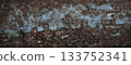 Rust metal texture background with copy space 133752341