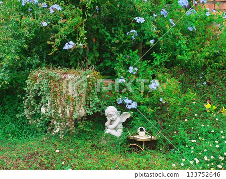 濱松花園咖啡廳的秋景，綠丘上盛開的藍色百合花 133752646