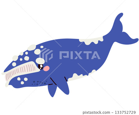 Southern Right Whale Cartoon Vector Illustration 133752729