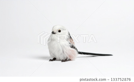一隻可愛蓬鬆的小鳥，外型類似日本長尾山雀，站在白色背景上。 133752876