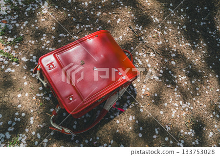 cherry blossom, spring, red backpack 133753028