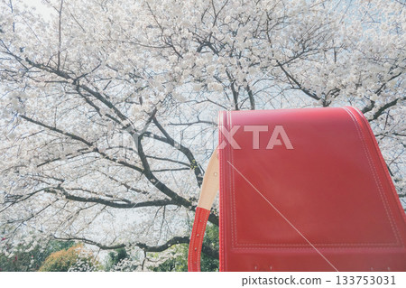 書包 櫻花 櫻 133753031