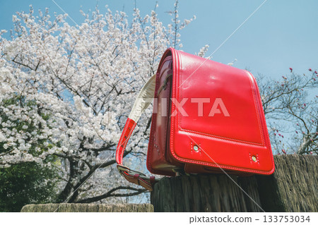 cherry blossom, spring, red backpack 133753034