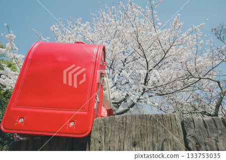 cherry blossom, spring, red backpack 133753035