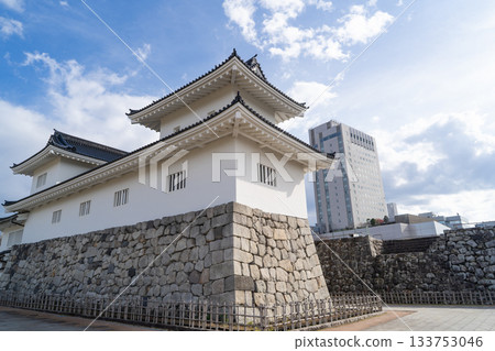 城樓(富山城遺址公園) 城樓(富山城遺址公園) 133753046