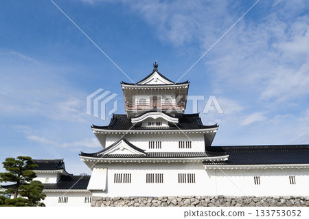 Castle tower (Toyama Castle Ruins Park) 133753052