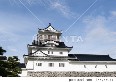 Castle tower (Toyama Castle Ruins Park) 133753054