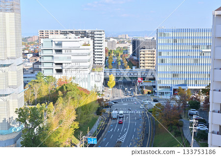 從千里新城桃山台眺望阪急電鐵南千里站週邊地區 從千里新城桃山台眺望阪急電鐵南千里站週邊地區 133753186