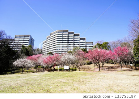 山田富士公園 山田富士公園 133753197